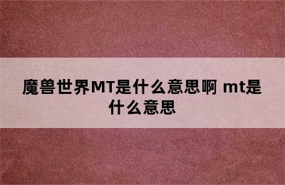 魔兽世界MT是什么意思啊 mt是什么意思